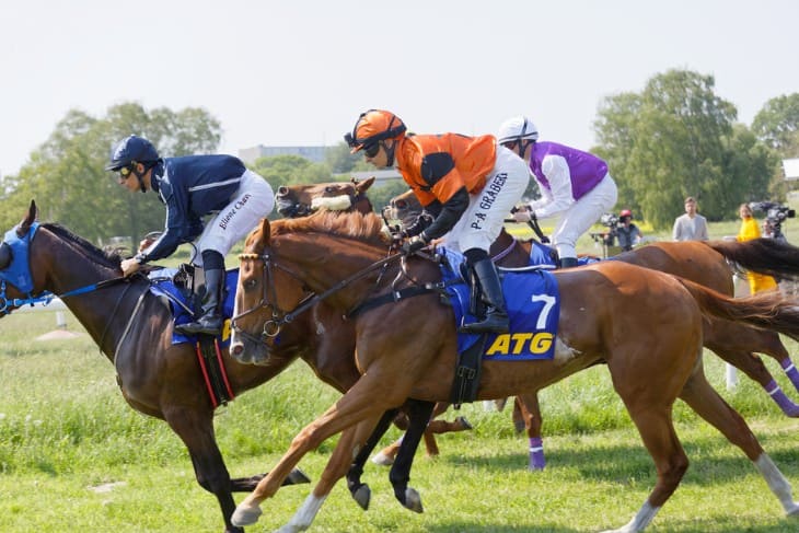 Match Betting Opportunities in Grand National