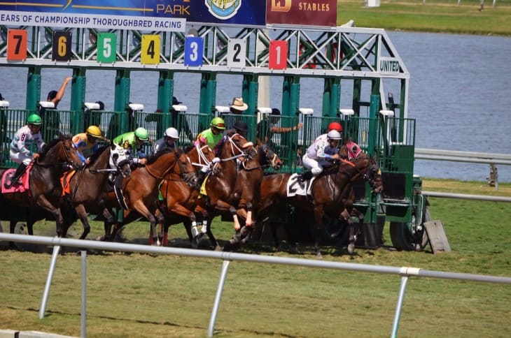 The Race on Screen: Media Coverage of the Grand National