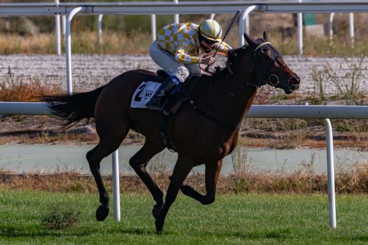 Memorable Grand National Races: Triumphs and Tragedies