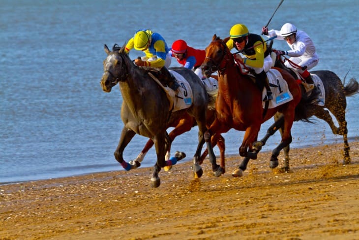 Money Management: Adjusting Bets Based on Race Developments