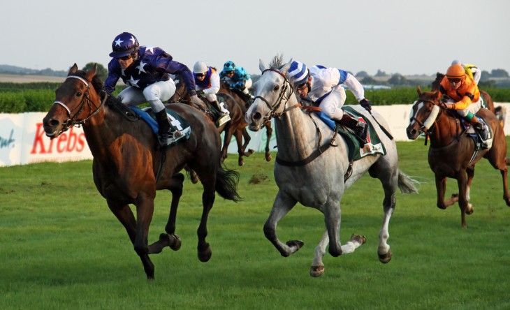 Top 10 Most Popular Horse Racing Breeds