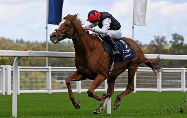 Newbury, BetVictor Horris Hill Stakes