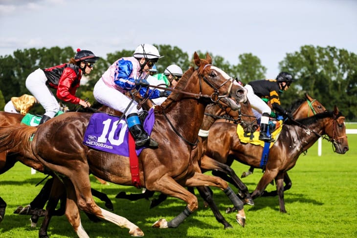 Nursery Handicaps: The Competitive Edge of Two-Year-Olds