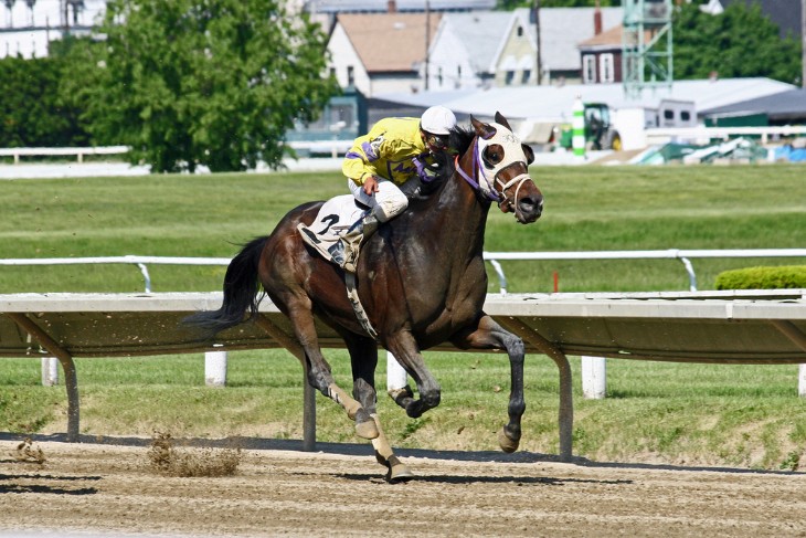 What Does Off the Bridle Mean in Horse Racing?