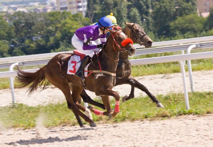 Overview of a Handicap Race