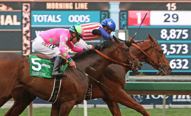 Paddock in Horse Racing - Jockey in Action