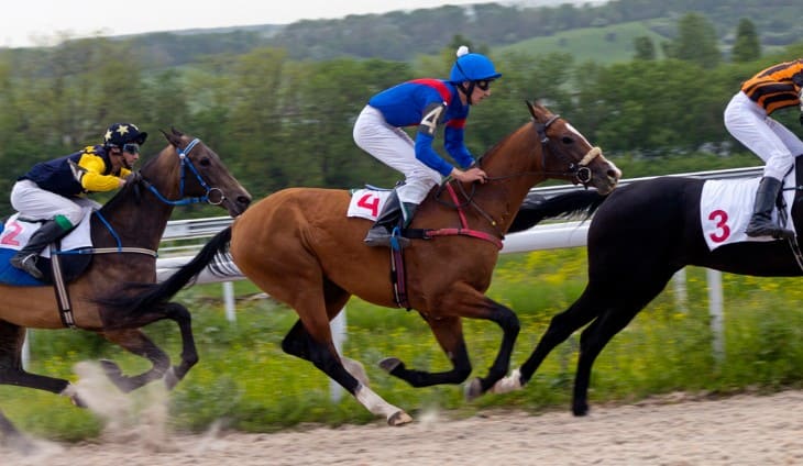 Partnership as a Horse Training Technique