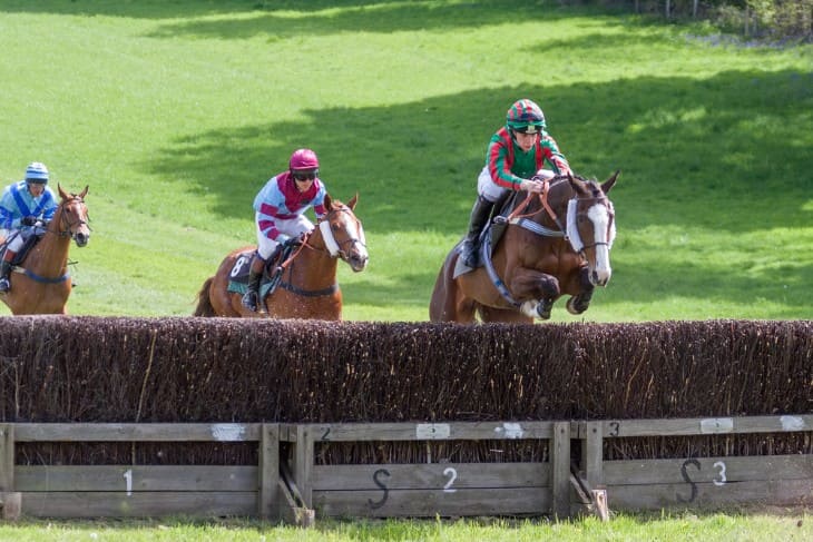 Contemporary Point-to-Point Racing