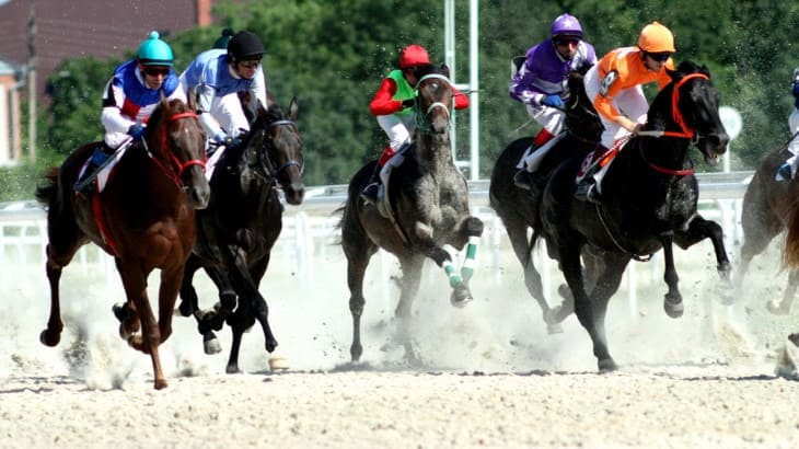 Preparing the Horses