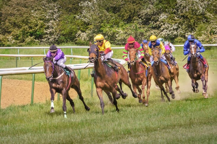 Purpose of Lucky 15 Bets in Horse Racing