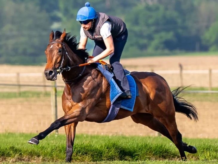 Stars Who Can Shine in the Mud: Qipco British Champions Fillies & Mares Stakes