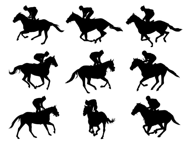 Exploring the Different Types of Horse Races