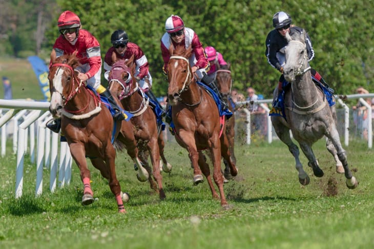 Racing Legends: A Deep Dive into the Debate for the Best Horse of All Time