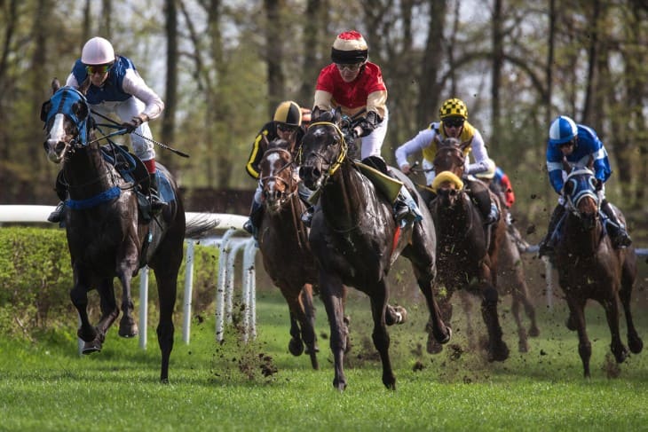 2024 Grand National Recap: Thursday 11th April