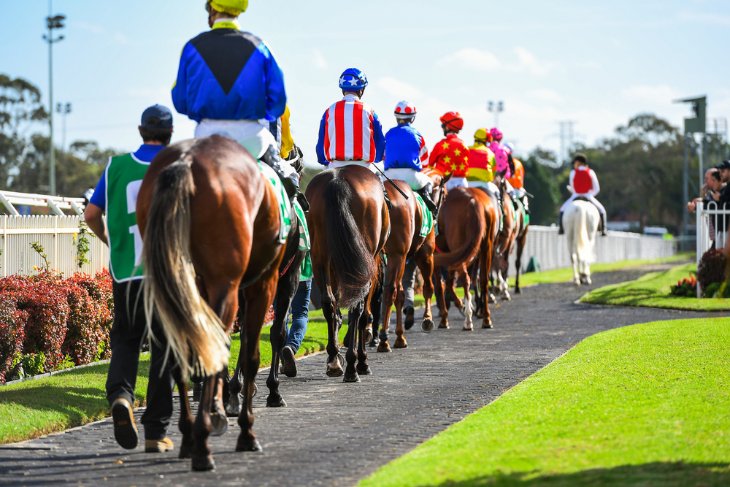 The Role of Racecourse Clerks in UK Horse Racing