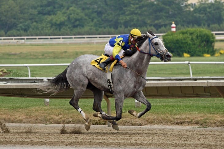 Royal Ascot 2024 – Pomp, Pageantry, And Racing Excellence