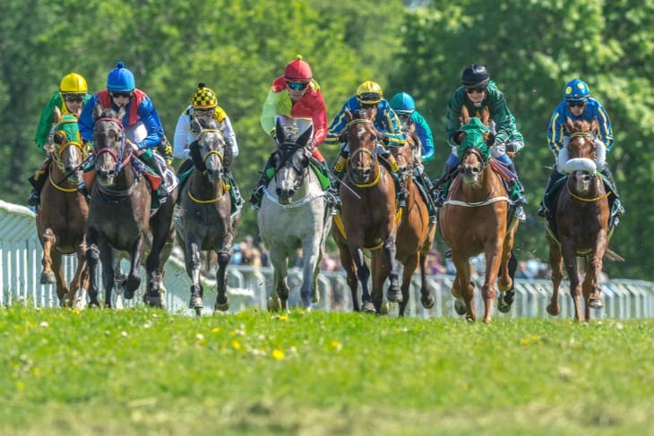 Safety Measures During Horse Racing Training Sessions