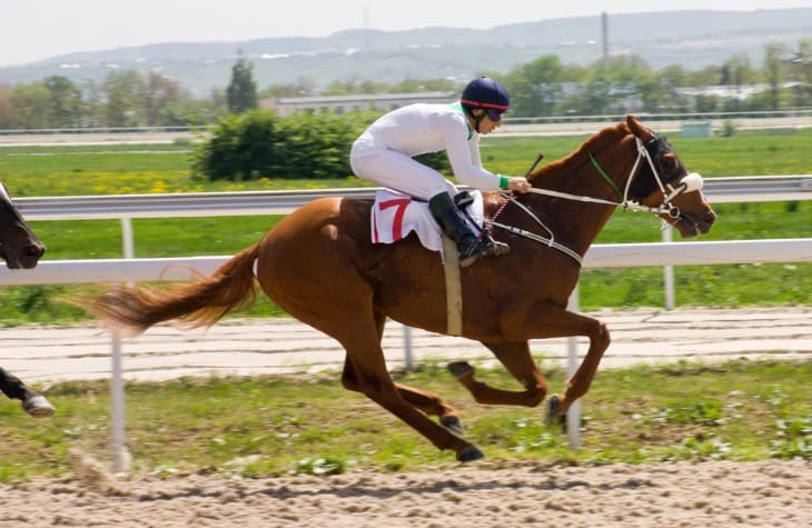 Secretariat: A Benchmark in Racing History