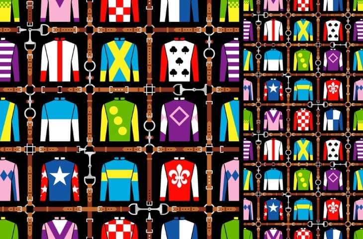 Silks and the Role They Play in Racing Culture