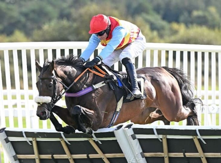 Six Go to Post in Exeter Highlight