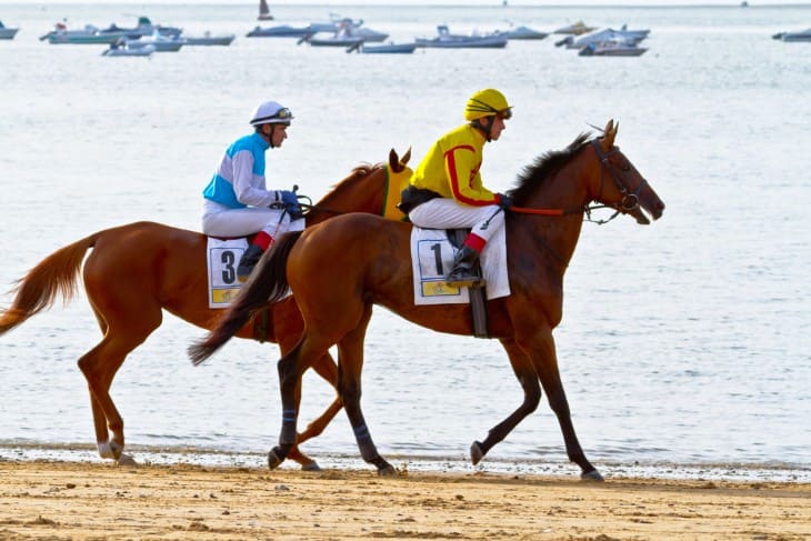  Sky Bet Race to the Ebor Jorvik Handicap