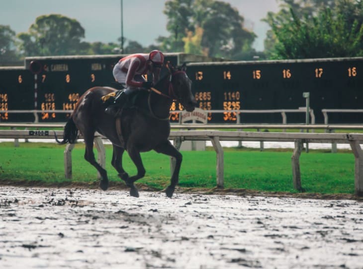 Snow and Cold Weather Effects on Horse Races