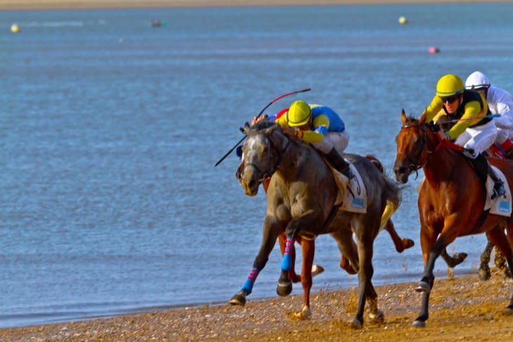 Spectator Stands – More Than Just a View