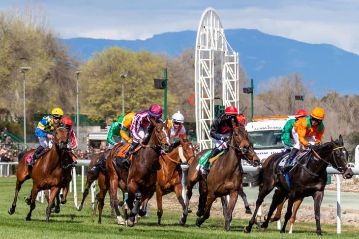 Strategic Positional Betting in Live Horse Racing