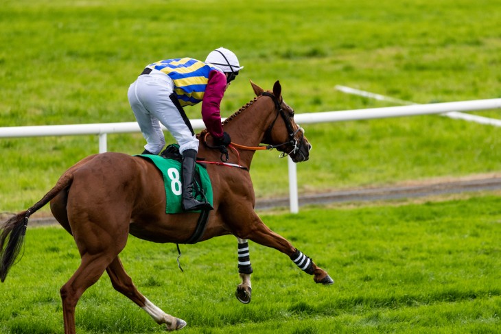 Strategies for Racing on Soft and Yielding Ground