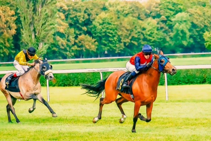 Strategies for Successful Cover Betting in Horse Racing