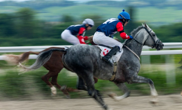 Strategies for Successful Parlay Betting in Horse Racing