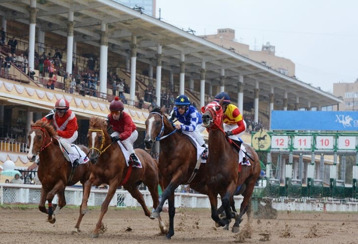 Superfecta Success: A Deep Dive into High-Reward Horse Racing Bets