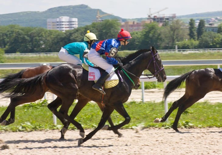 Sustainability and Ethics: The New Frontier in Horse Racing Equipment