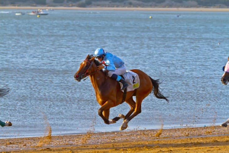 Tattersalls Musidora Stakes