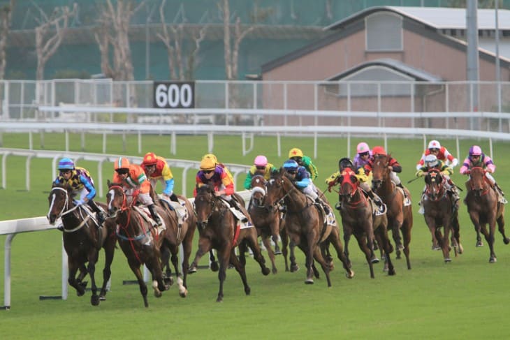 Technological Advancements in Horse Racing Betting