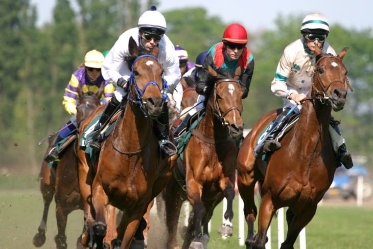 The Allure of Scoop6: Why It Captivates Bettors