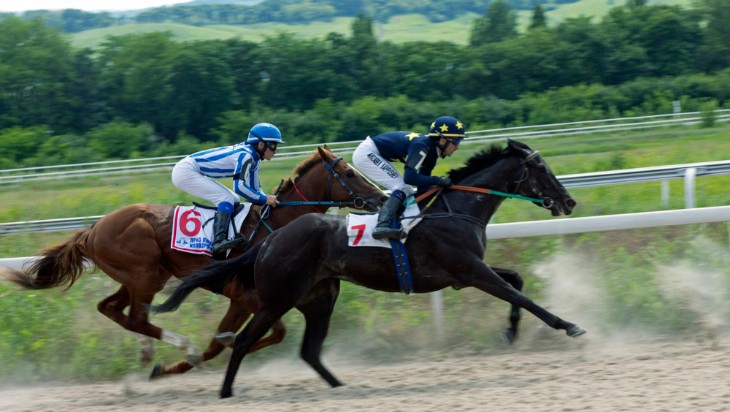 The Appeal of Shared Ownership; Advantages of Joining a Horse Racing Partnership