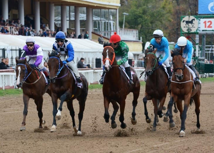 Balancing the Field: The Art of Racing Handicapping