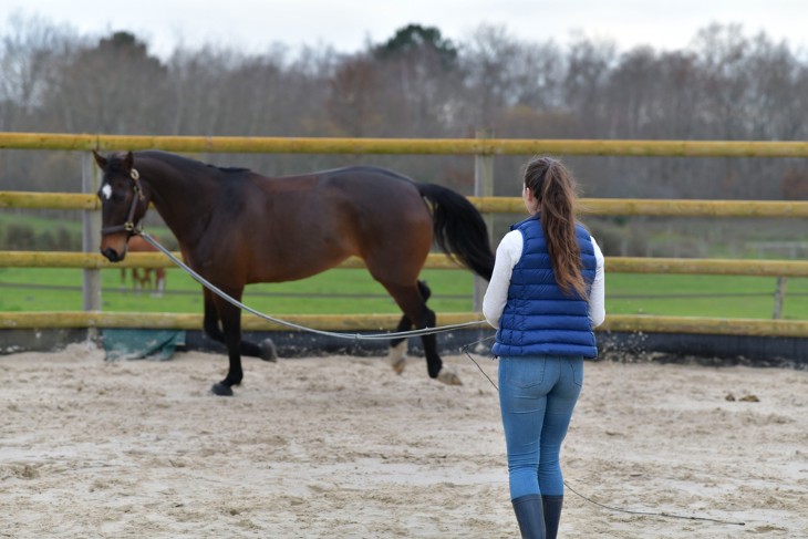 The Art of Training Juvenile Racehorses