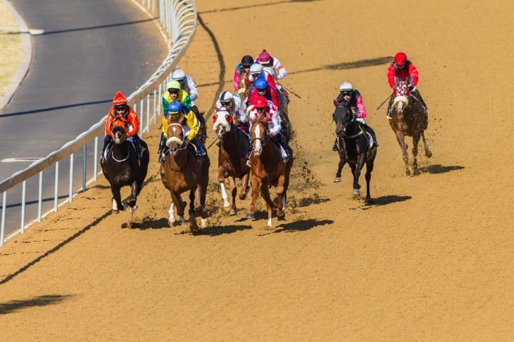 The Basics of Horse Racing Betting