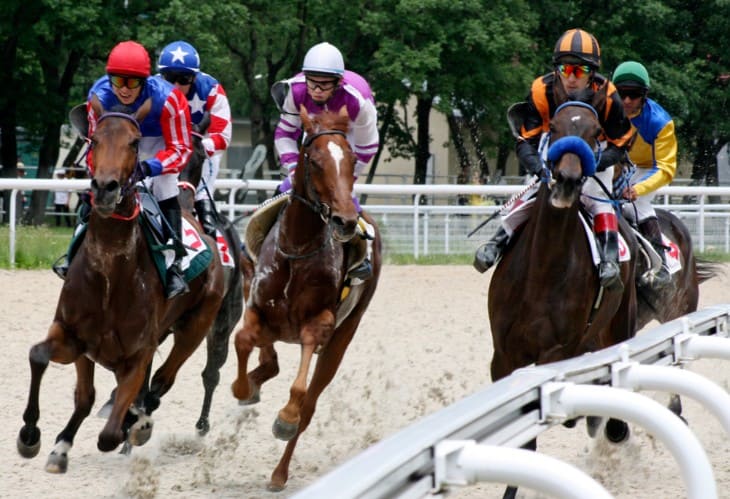 The British Horseracing Authority Logo