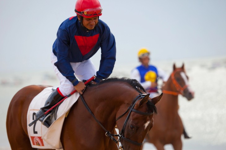 The Causes and Implications of Suspension in Horse Racing