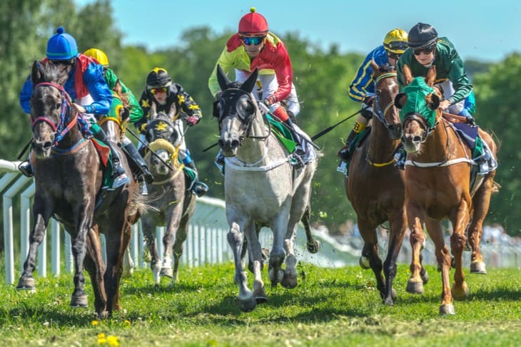 The community in amateur horse racing