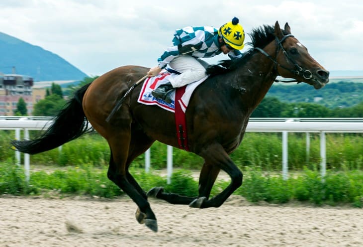 The Curragh: Ireland's Premier Training Facility