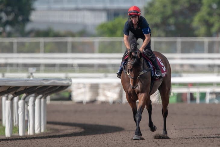 The Effect of Age in Horse Racing