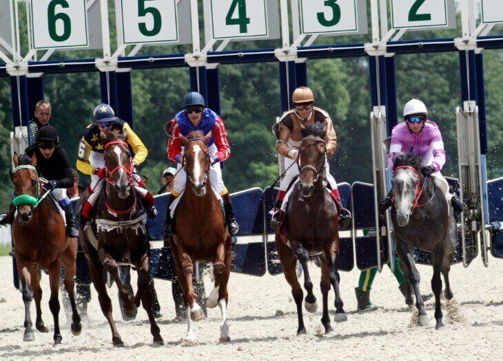 The Effect of Starting Gate Positions in Horse Races