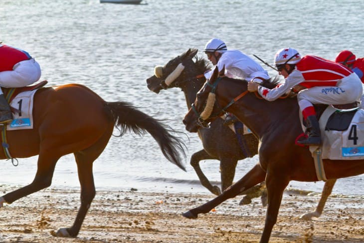 The Ethical Implications of Horse Racing on Animal Welfare