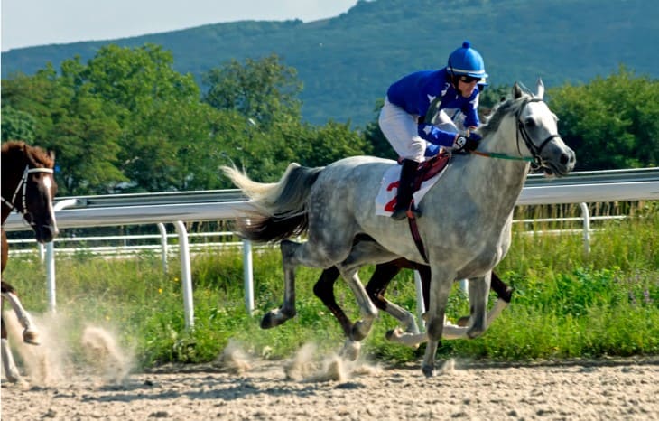 The Impact of Race Conditions on Jockey Performance