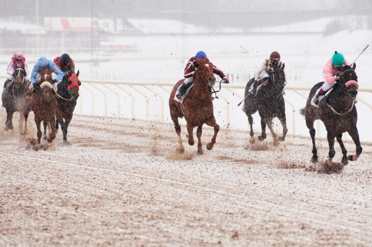 The Impact of Weather on Horse Races