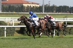 Weathering the Race: The Impact of Weather on the Grand National